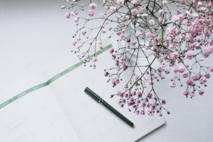 insolvence a vratka daně